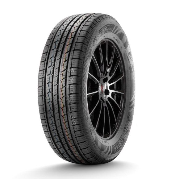 Шины DoubleStar 235/65/18 H 110 DS01 Шины DoubleStar 235/65/18 H 110 DS01