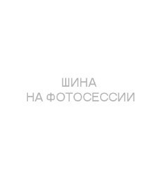 Шины Hankook 255/40 r19 Winter I Cept Evo4 W340 100V Шины Hankook 255/40 r19 Winter I Cept Evo4 W340 100V